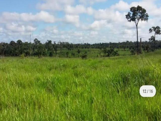 Sítio e chácara venda em Região Geográfica Imediata do Distrito Federal, Região Integrada de Desenvolvimento do Distrito Federal e Entorno