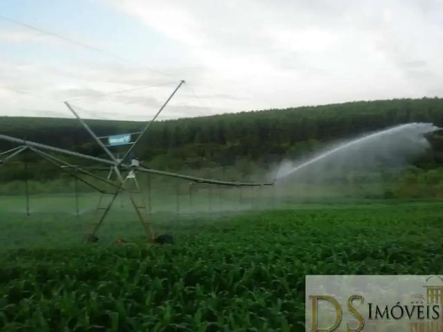 Fazenda venda em Região Imediata de Bauru, Avaí