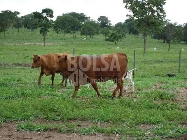 Fazenda venda em Avaí, Região Geográfica Intermediária de Bauru