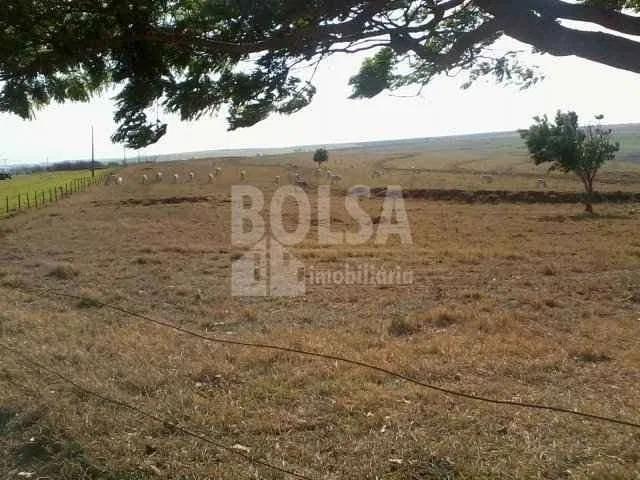 Fazenda venda em Avaí, Região Geográfica Intermediária de Bauru