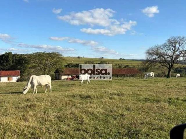 Fazenda venda em Avaí, Região Geográfica Intermediária de Bauru