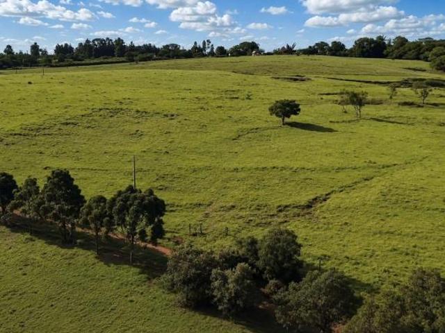 Sítio e chácara venda em Região Imediata de Avaré, Avaré