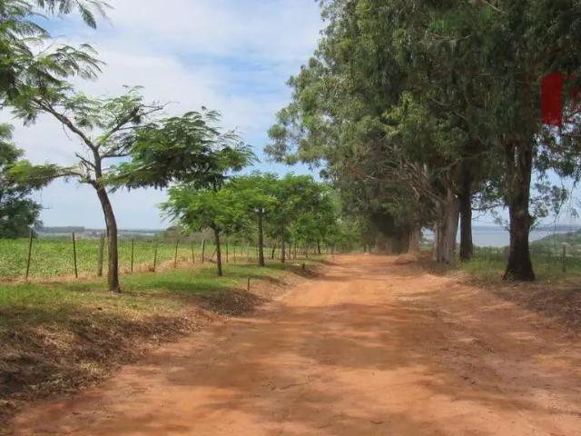 Fazenda venda em Região Imediata de Avaré, Avaré
