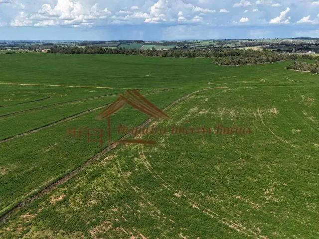 Fazenda venda em Região Imediata de Avaré, Avaré