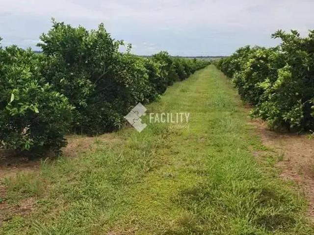 Fazenda venda em Região Imediata de Avaré, Avaré