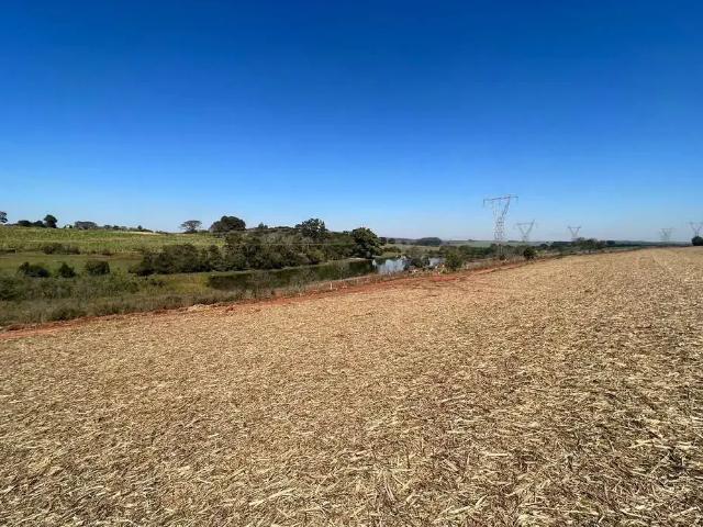 Fazenda venda em Região Imediata de Avaré, Avaré