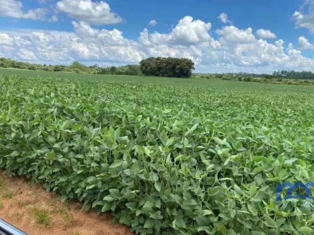 Fazenda venda em Região Imediata de Sorocaba, Região Metropolitana de Sorocaba