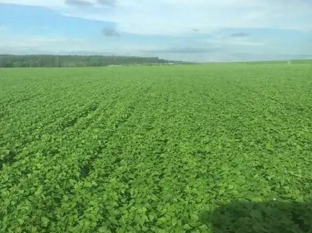 Fazenda venda em Região Imediata de Itapetininga, Região Metropolitana de Sorocaba