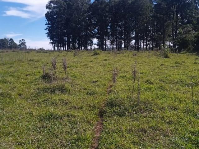 Fazenda venda em Avaré