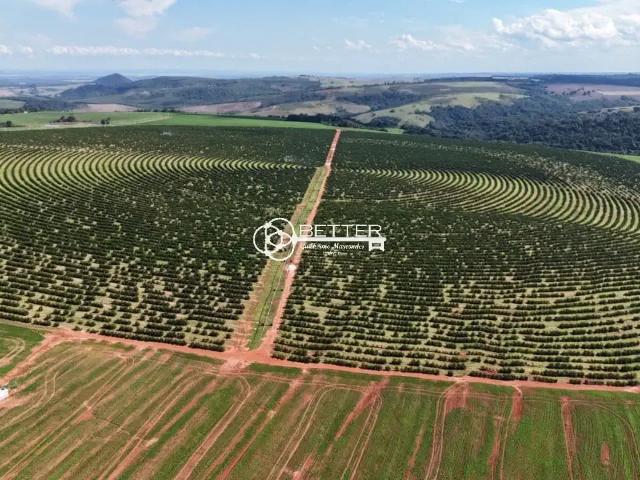 Fazenda venda em Região Imediata de Avaré, Avaré