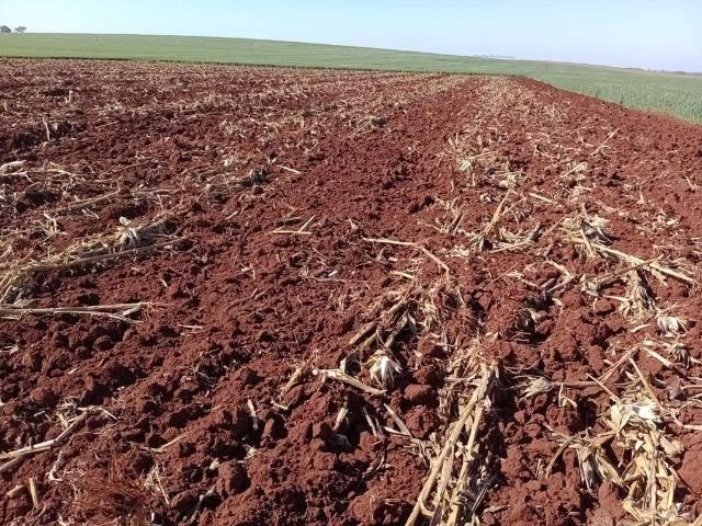 Fazenda venda em Região Imediata de Avaré, Avaré