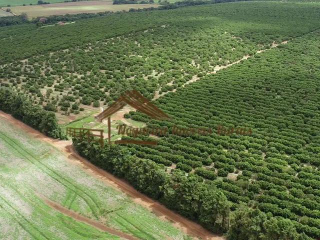 Fazenda venda em Região Imediata de Avaré, Avaré