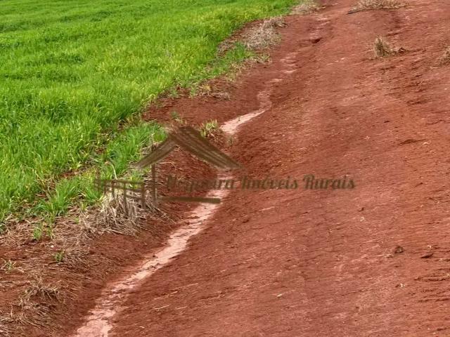 Fazenda venda em Região Imediata de Avaré, Avaré