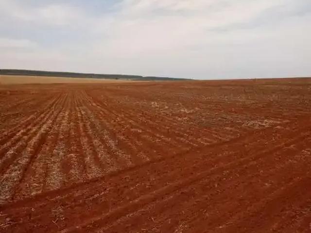 Fazenda venda em Região Imediata de Avaré, Avaré