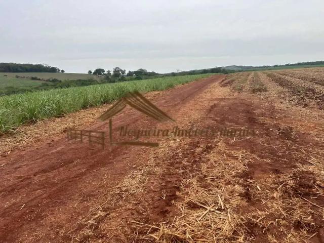 Fazenda venda em Região Imediata de Avaré, Avaré