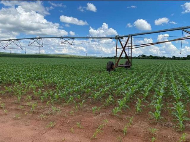 Fazenda venda em Região Imediata de Avaré, Avaré
