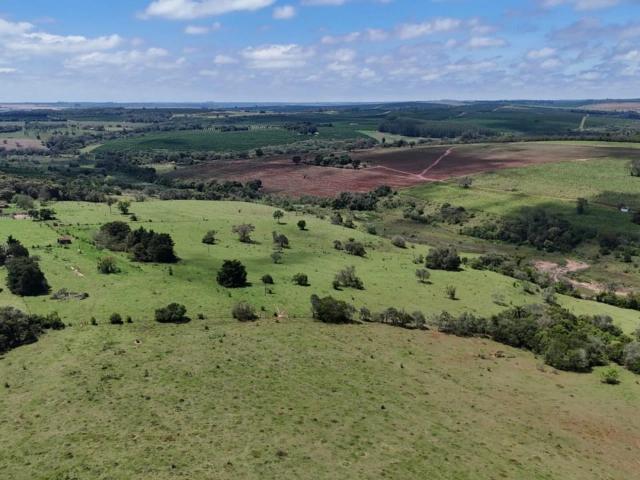 Fazenda venda em Avaré