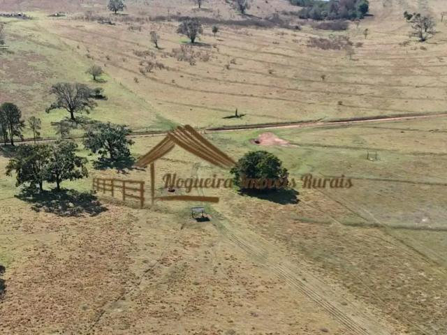 Fazenda venda em Região Imediata de Avaré, Avaré