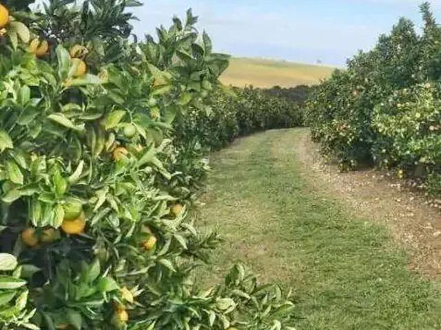 Fazenda venda em Região Imediata de Botucatu, São Manuel