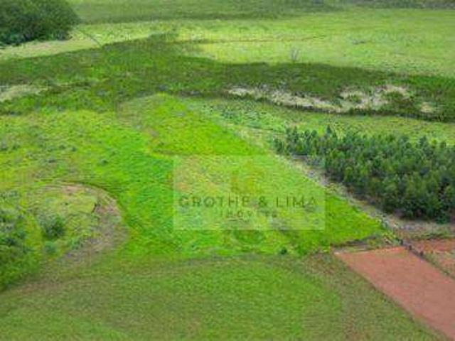 Fazenda venda em Avaré