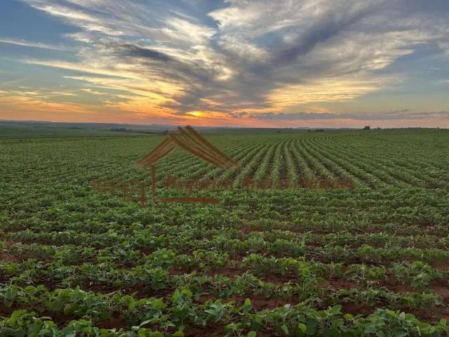 Fazenda venda em Região Imediata de Avaré, Avaré
