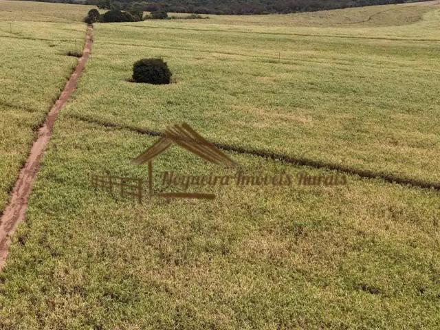 Fazenda venda em Região Imediata de Avaré, Avaré