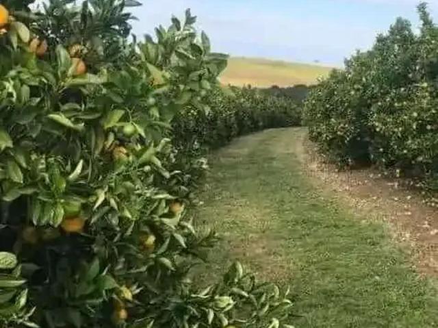 Fazenda venda em Região Imediata de Avaré, Avaré