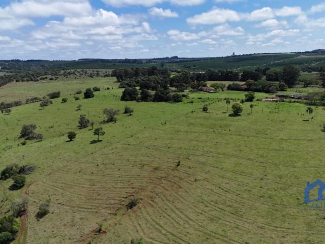 Fazenda venda em Avaré