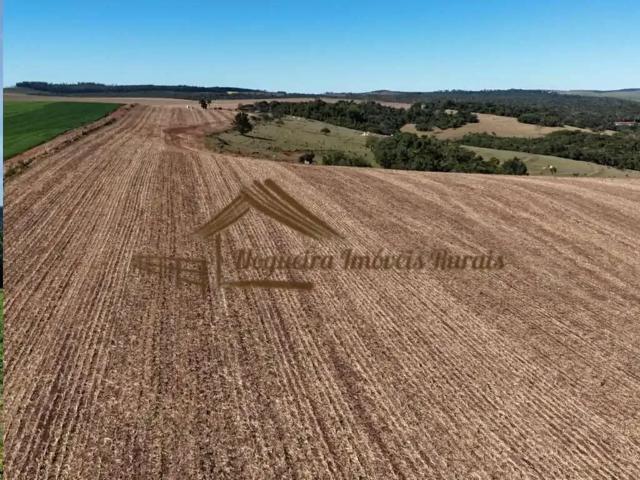 Fazenda venda em Região Imediata de Avaré, Avaré