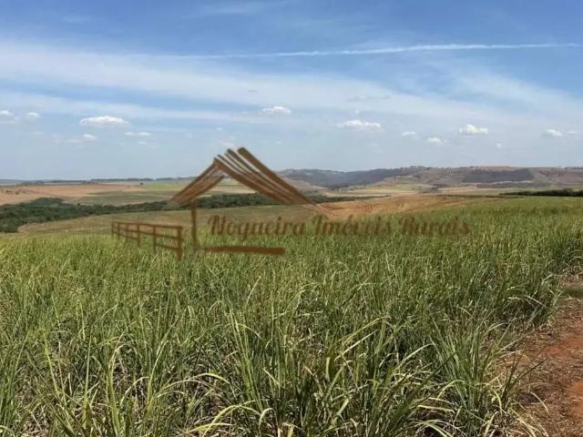 Fazenda venda em Região Imediata de Avaré, Avaré