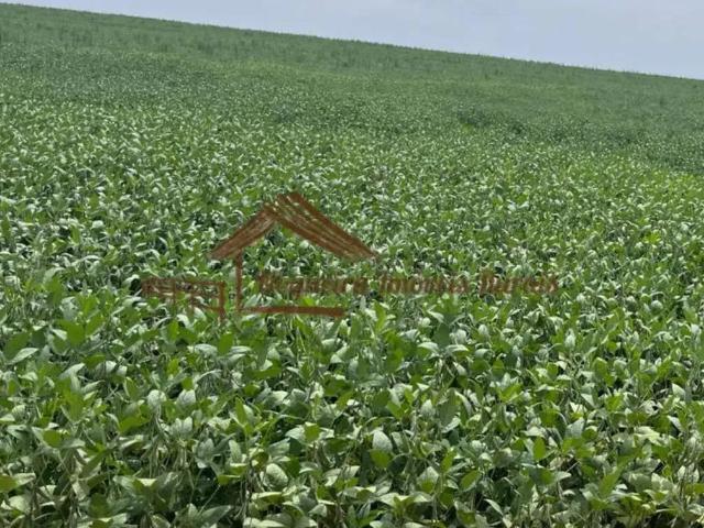 Fazenda venda em Região Imediata de Avaré, Avaré