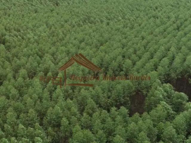 Fazenda venda em Região Imediata de Avaré, Avaré