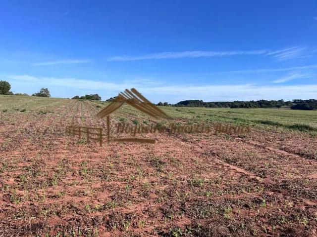 Fazenda venda em Região Imediata de Avaré, Avaré