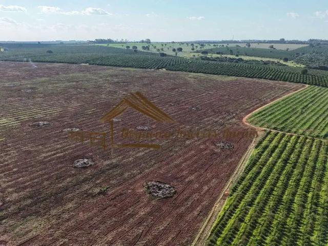 Fazenda venda em Região Imediata de Avaré, Avaré