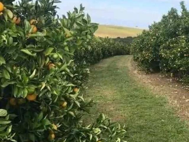 Fazenda venda em Avaré