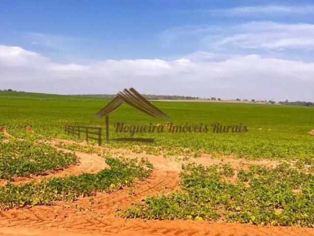 Fazenda venda em Região Imediata de Avaré, Avaré