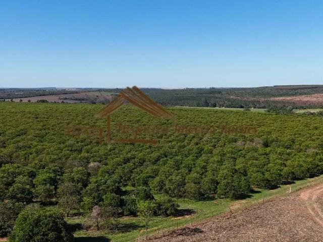 Fazenda venda em Região Imediata de Avaré, Avaré