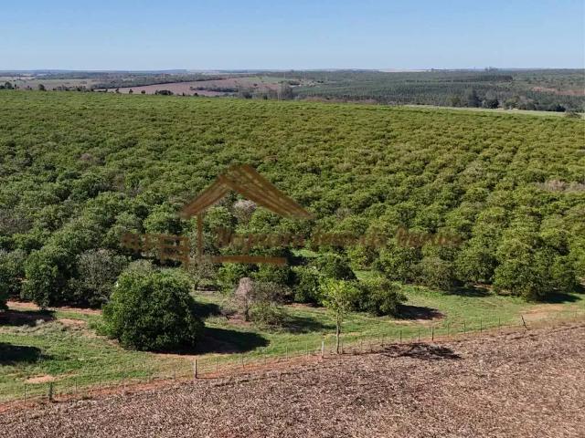 Fazenda venda em Região Imediata de Avaré, Avaré