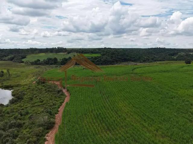 Fazenda venda em Região Imediata de Avaré, Avaré