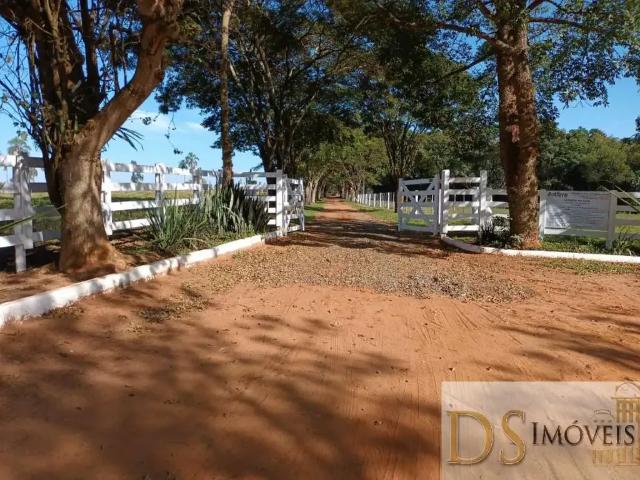 Fazenda venda em Avaré