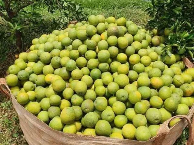 Fazenda venda em Região Imediata de São Paulo, Região Metropolitana de São Paulo