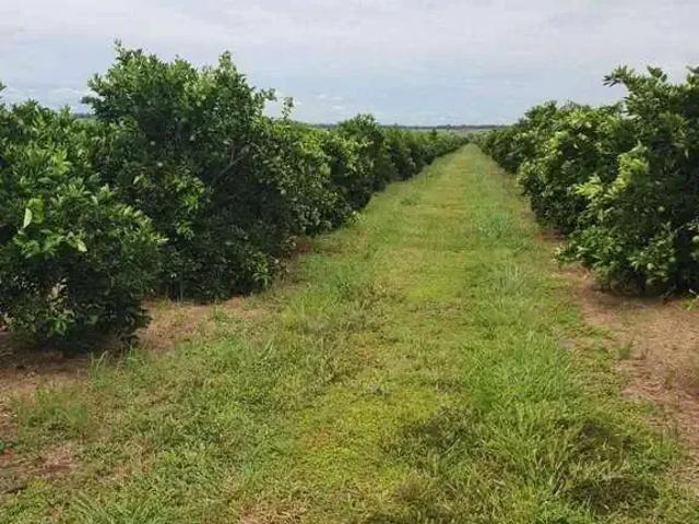 Fazenda venda em Região Imediata de São Paulo, Região Metropolitana de São Paulo