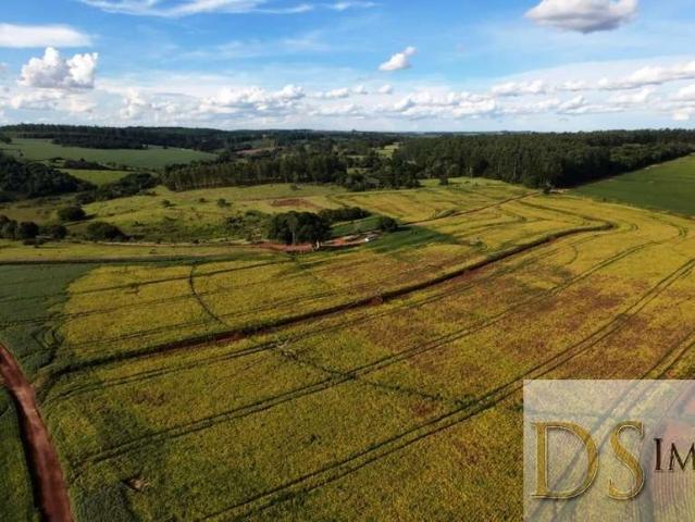 Fazenda venda em Região Geográfica Imediata de Curitibanos, Santa Cecília