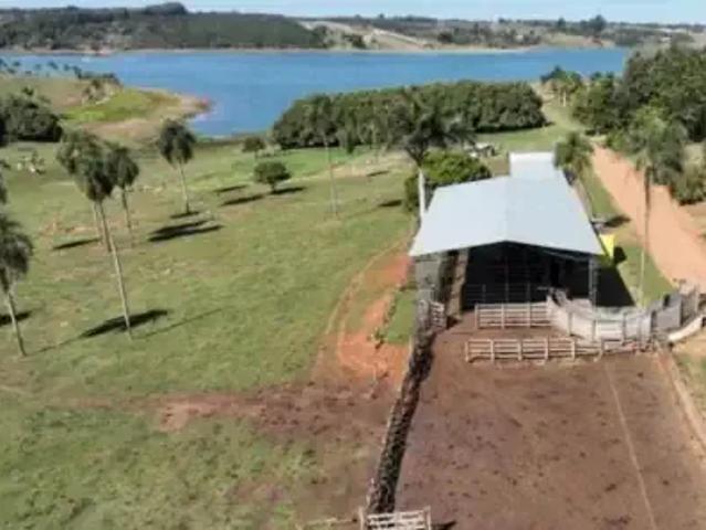 Fazenda venda em Região Imediata de Avaré, Avaré