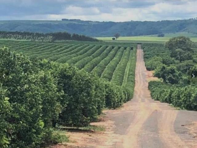 Fazenda venda em Avaré, Região Geográfica Intermediária de Sorocaba