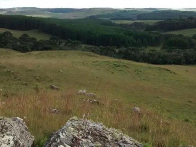 Sítio e chácara venda em Região Geográfica Imediata de Caxias do Sul, Cambara do Sul