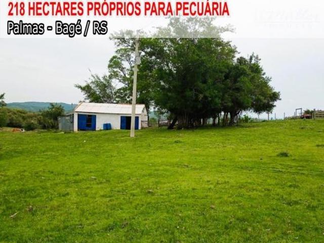 Sítio e chácara venda em Região Geográfica Imediata de Bagé, Bagé