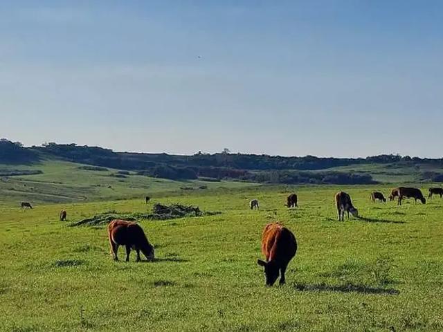 Fazenda venda em Região Geográfica Imediata de Bagé, Bagé