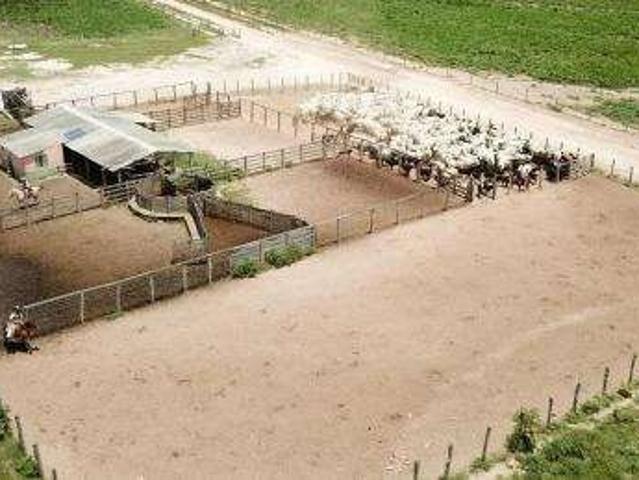 Fazenda venda em Região Geográfica Imediata de Barreiras, Baianópolis
