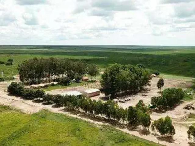 Fazenda venda em Região Geográfica Imediata de Barreiras, Baianópolis